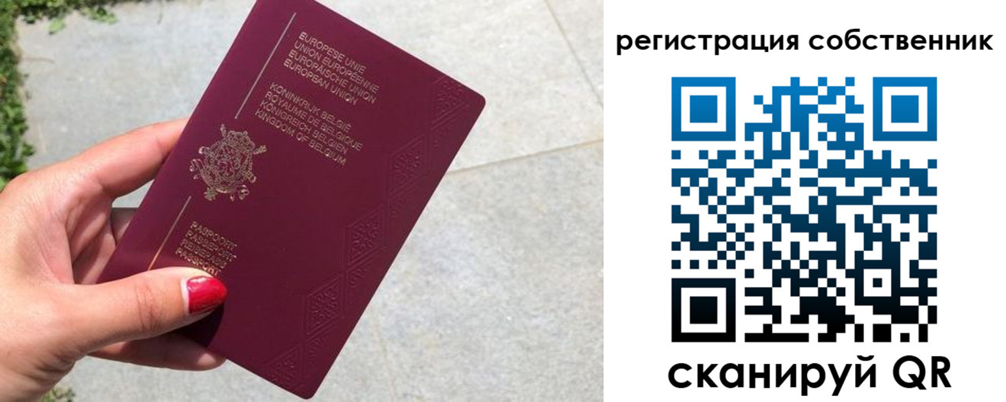 временная регистрация поиск в Морозовске